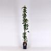 Parthenocissus tr. 'Veitchii' Pot 5 Liter 150 - 175 cm
