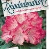 Rhododendron (Y) 'Fantastica' Pot 10 liter