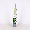 Clematis florida 'Alba Plena' Pot 2 Liter
