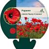 Papaver or. 'Beauty of Livermere' Pot 9 cm