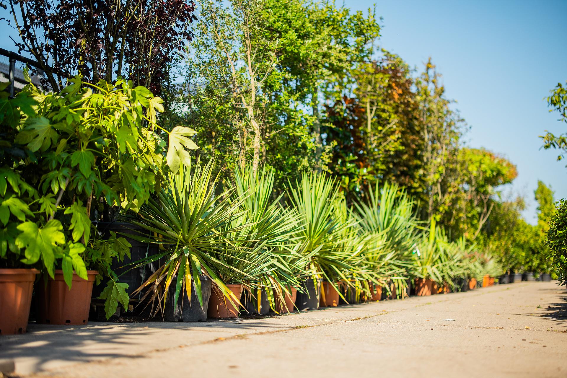 Van der Dussen Groencentrum