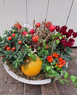 Herfstworkshop 3 -  4 oktober 09:30-11:30