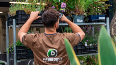 3. waarom een beplantingsplan essentieel is voor elke tuin