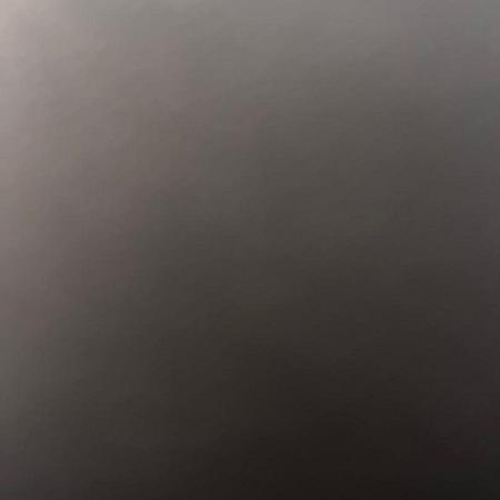 Hydrangea a. Strong Annabelle Pot 3 Liter 