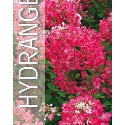 Hydrangea pan. Diamand Rouge Pot 3 Liter 