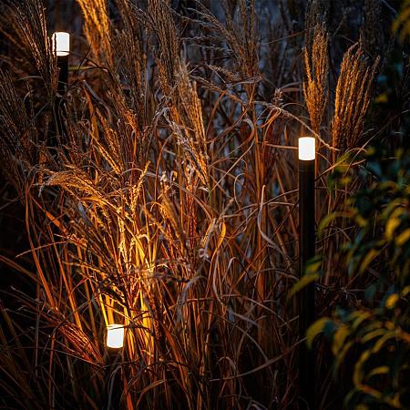 Erba 12v (set van 3) -