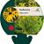 Rudbeckia fulgida deamii Pot 9 cm