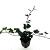 Hedera hibernica Pot 9 cm