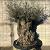 Olea europaea Pot 350 Liter Bonsai