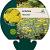 Achillea 'Moonshine' Pot 9 cm