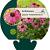 Echinacea p. Powwow Wild Berry Pot 9 cm