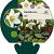 Helleborus niger Pot 9 cm