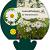 Leucanthemum (S) 'Silberprinzessche Pot 9 cm