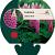Lupinus 'Gallery Pink' Pot 9 cm