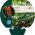 Arum italicum Pot 9 cm