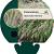 Pennisetum al. 'Red Head' Pot 9 cm