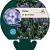 Phlox (P) 'Blue Paradise' Pot 9 cm