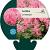 Astilbe (J) 'Rheinland' Pot 9 cm