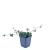 Hedera helix Pot 9 cm