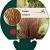 Carex buchananii Pot 9 cm