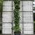 Liquidambar s. 'SlenderSilhouette' Pot 110 liter 400 - 450 cm