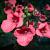 Diascia 'Ruby Field' Pot 9 cm