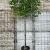 Pyrus calleryana 'Chanticleer' Stam 180 cm (Stamomtrek 14-16 cm) Leivorm