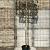 Quercus ilex Stam 200 cm Leivorm 120x120 (BxH)