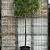 Quercus palustris Stam 220 cm (Stamomtrek 25-30 cm) Leivorm
