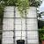 Liquidambar styraciflua Hoogstam (Stamomtrek 16-18 cm)