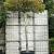 Liquidambar s. 'Worplesdon' (Stamomtrek 35-40 cm) Dakvorm