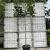 Fagus sylvatica Pot 90 Liter Stam 180 cm (Stamomtr.12-14) Leivorm 150x120 (BxH) 