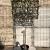 Quercus ilex stam 150 cm Leivorm 120x80 (BxH) 