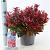 Leucothoe 'Zeblid' Pot 3 Liter 