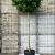 Liquidambar s. 'Gum Ball' Hoogstam (Stamomtrek 20-25 cm)