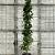 Liquidambar s. 'SlenderSilhouette' Pot 30 Liter 200 - 250 cm