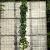 Liquidambar s. 'SlenderSilhouette' Pot 50 Liter 250 - 300 cm