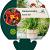 Hemerocallis 'Autumn Red' Pot 9 cm