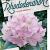 Rhododendron 'Gomer Waterer' Pot 10 liter
