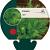 Carum carvi Pot 9 cm