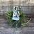 Rosmarinus off. 'Capri' Pot 2 Liter