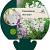 Penstemon 'White Bedder' Pot 9 cm