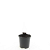Geranium Rozanne Pot 1,5 liter