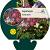 Aquilegia 'Biedermeier' Pot 9 cm