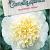 Camellia j. 'Brushfield's Yellow' Pot 7,5 Liter 