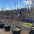 Acer pal. 'Trompenburg' Pot 150 liter 200 - 250 cm