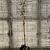 Catalpa bignonioides 'Nana' Pot 20 Liter stam 150 cm
