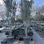Olea europaea Pot 130 liter 250 - 300 cm Meerstammig