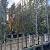 Quercus ilex Stam 120 cm Leivorm 120x100 (BxH)  ijzer frame