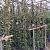 Trachelospermum jasminoides Pot 5 liter 200 - 225 cm
